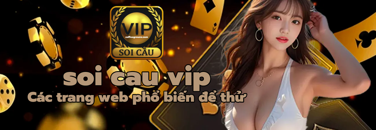 soi cau vip